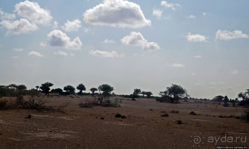 "Чего они хотят в Сомалиленде?", — "Посмотреть страну..."