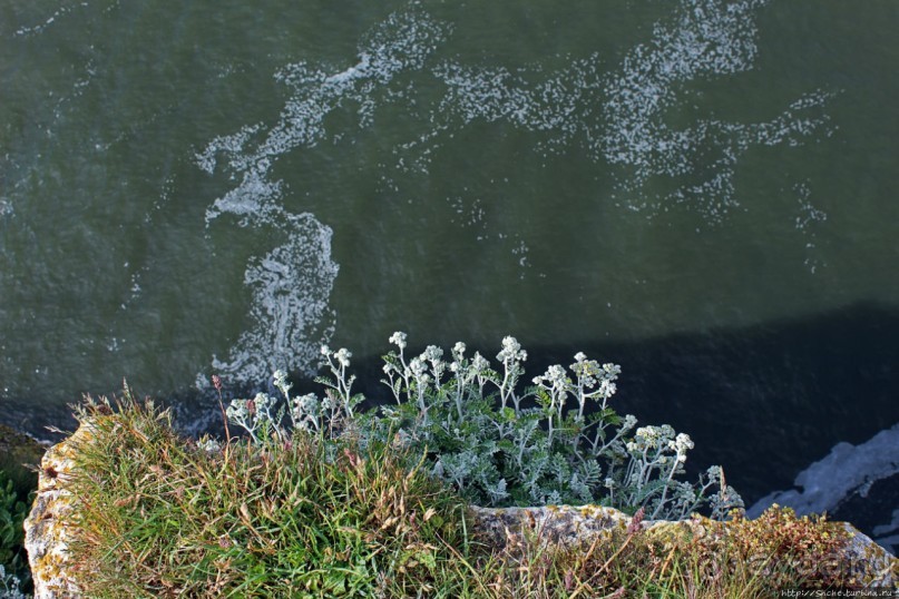 Утесы Этреты: налево пойдешь...