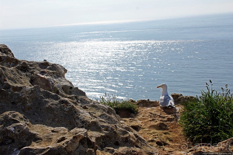 Утесы Этреты: налево пойдешь...