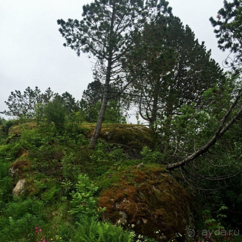 Деревушка на Лофотенах — место, где я оставил жену на 9 дней