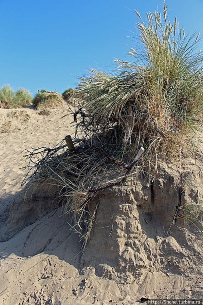 "Все покрыты зеленью..." Песчаные дюны Северной Ирландии
