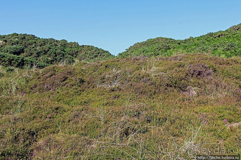 "Все покрыты зеленью..." Песчаные дюны Северной Ирландии