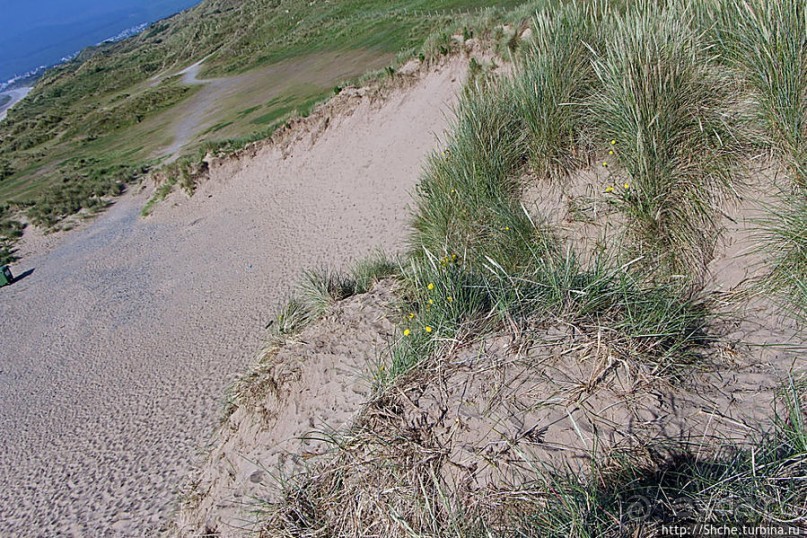 "Все покрыты зеленью..." Песчаные дюны Северной Ирландии