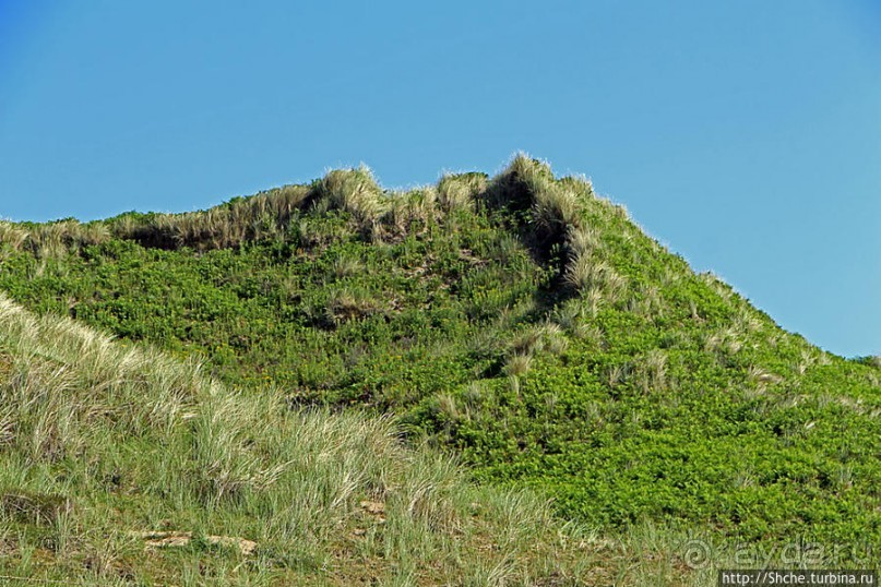 "Все покрыты зеленью..." Песчаные дюны Северной Ирландии