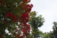 В гостях у Радуги. Пора на природу! Виндзорское озеро