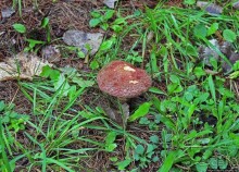 В гостях у Радуги. Пора на природу! Виндзорское озеро