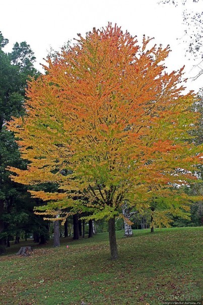 В гостях у Радуги. Пора на природу! Виндзорское озеро