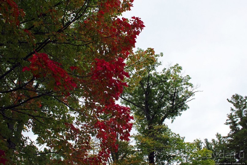 В гостях у Радуги. Пора на природу! Виндзорское озеро