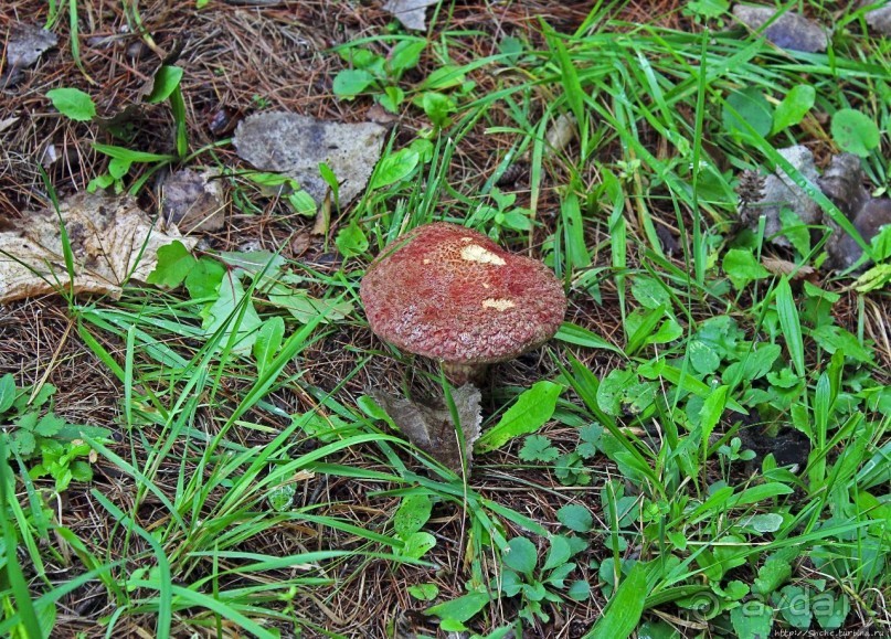 В гостях у Радуги. Пора на природу! Виндзорское озеро