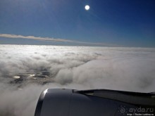 "Вперед на Гавайи!", — Нью-Йорк, прощай