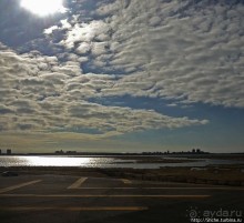 "Вперед на Гавайи!", — Нью-Йорк, прощай