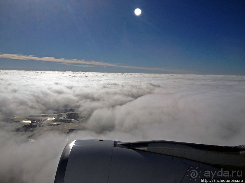 "Вперед на Гавайи!", — Нью-Йорк, прощай