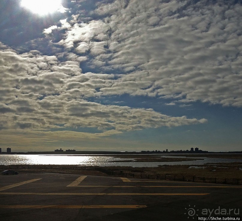 "Вперед на Гавайи!", — Нью-Йорк, прощай