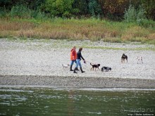 Из Кельна по Рейну. Очаровательный пригород Мариенбург