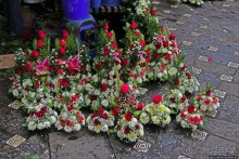 Местных почитают сильнее