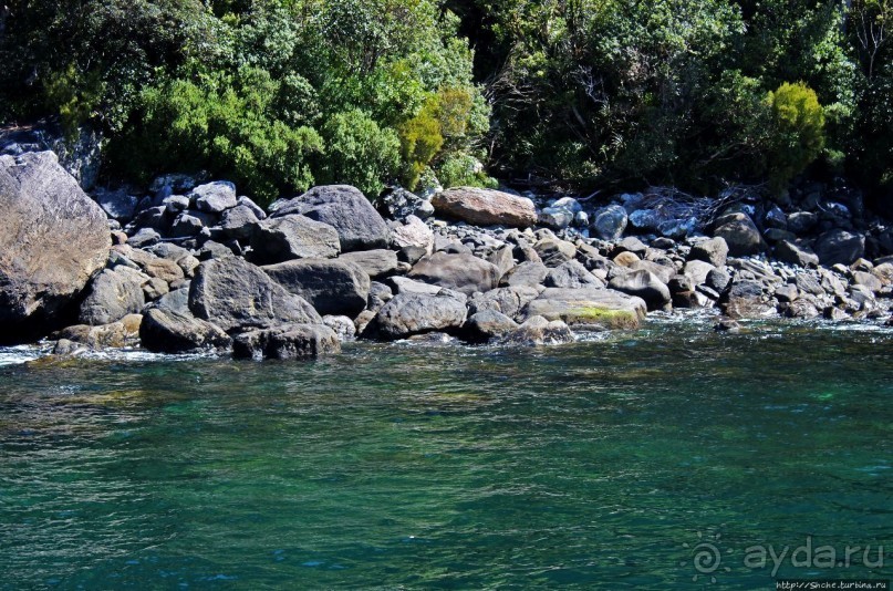 "И красивейший в мире фиорд Милфорд-Саунд..." (В. Высоцкий)