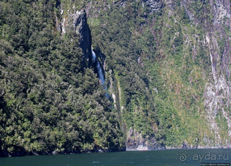 "И красивейший в мире фиорд Милфорд-Саунд..." (В. Высоцкий)