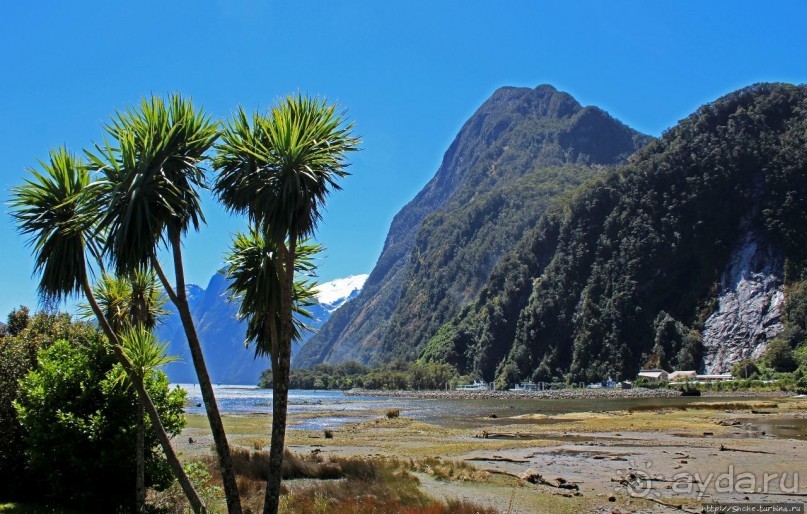 "И красивейший в мире фиорд Милфорд-Саунд..." (В. Высоцкий)