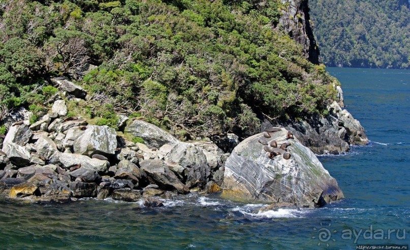"И красивейший в мире фиорд Милфорд-Саунд..." (В. Высоцкий)
