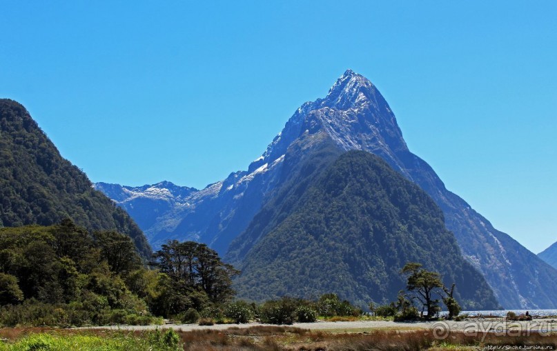 "И красивейший в мире фиорд Милфорд-Саунд..." (В. Высоцкий)