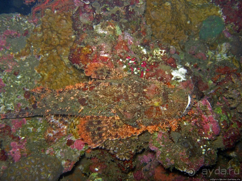 Туламбен (Бали). Погружение на затонувший корабль "Либерти"