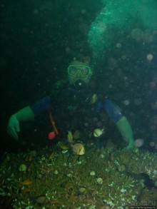 Туламбен (Бали). Погружение на затонувший корабль "Либерти"