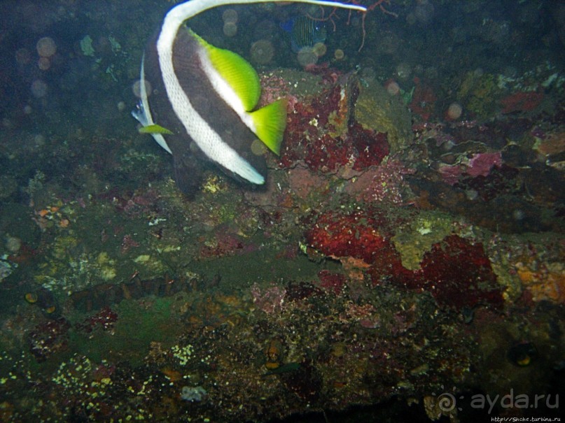 Туламбен (Бали). Погружение на затонувший корабль "Либерти"