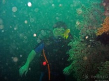 Туламбен (Бали). Погружение на затонувший корабль "Либерти"