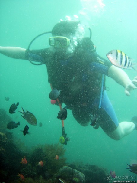 Туламбен (Бали). Погружение на затонувший корабль "Либерти"