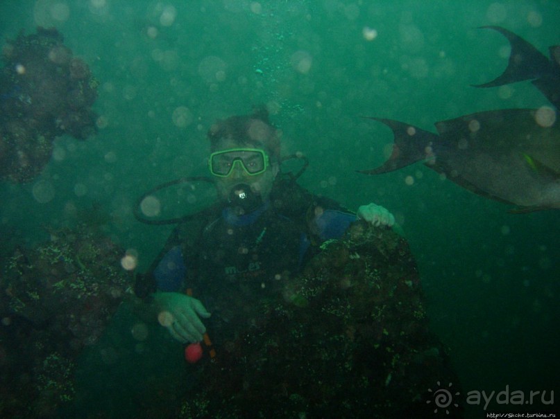 Туламбен (Бали). Погружение на затонувший корабль "Либерти"