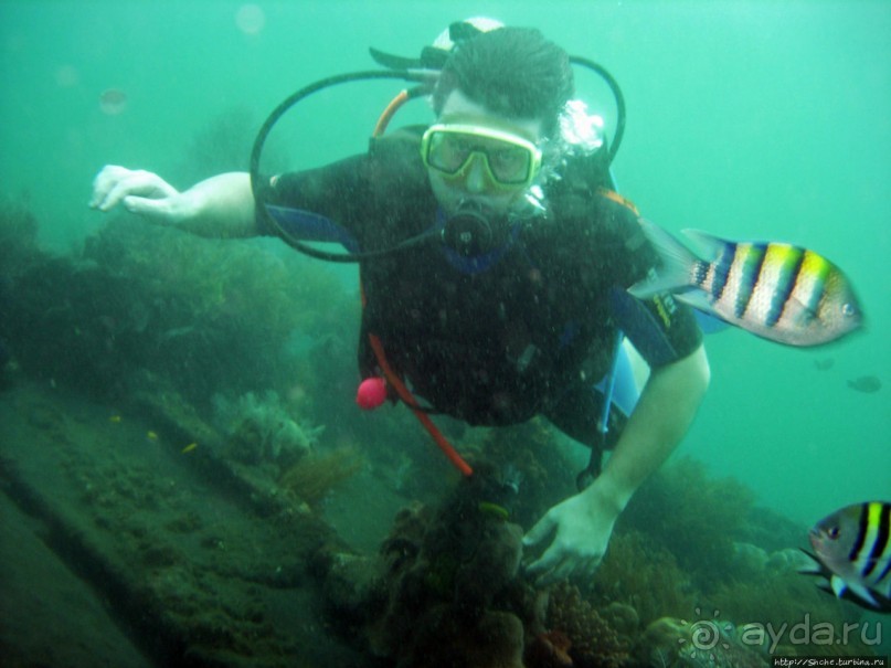 Туламбен (Бали). Погружение на затонувший корабль "Либерти"