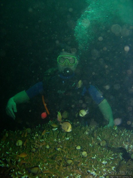 Туламбен (Бали). Погружение на затонувший корабль "Либерти"