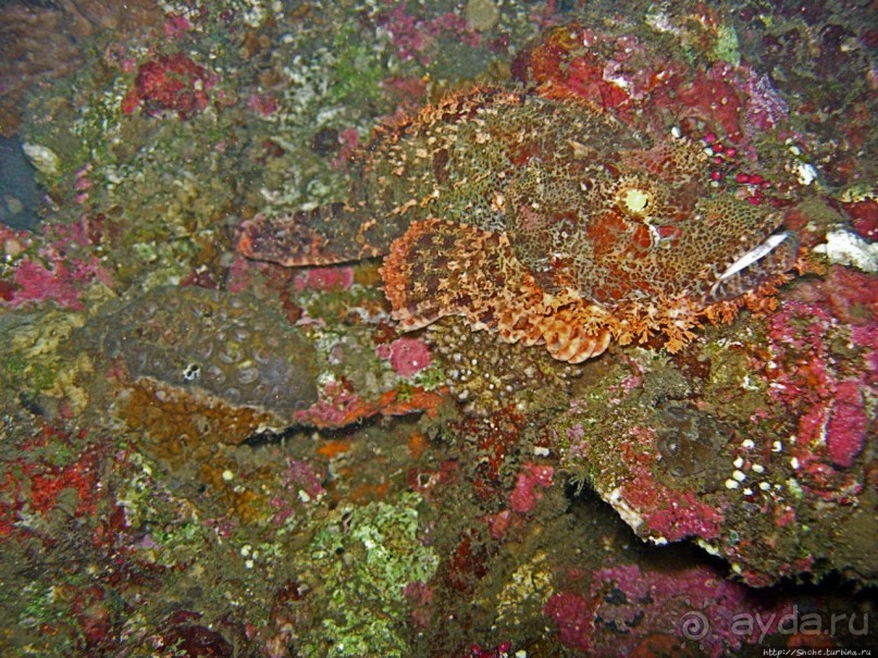 Туламбен (Бали). Погружение на затонувший корабль "Либерти"