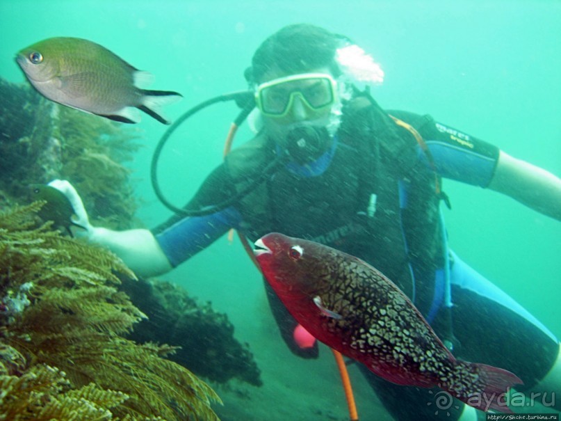 Туламбен (Бали). Погружение на затонувший корабль "Либерти"