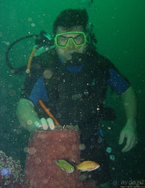 Туламбен (Бали). Погружение на затонувший корабль "Либерти"