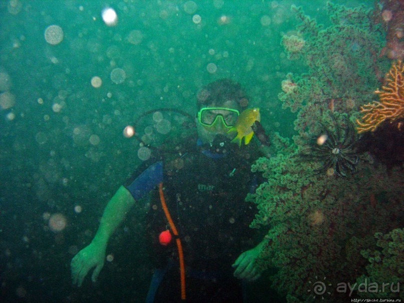 Туламбен (Бали). Погружение на затонувший корабль "Либерти"