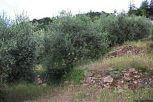 Agriturismo по-итальянски — фермерский дом близ Себорг