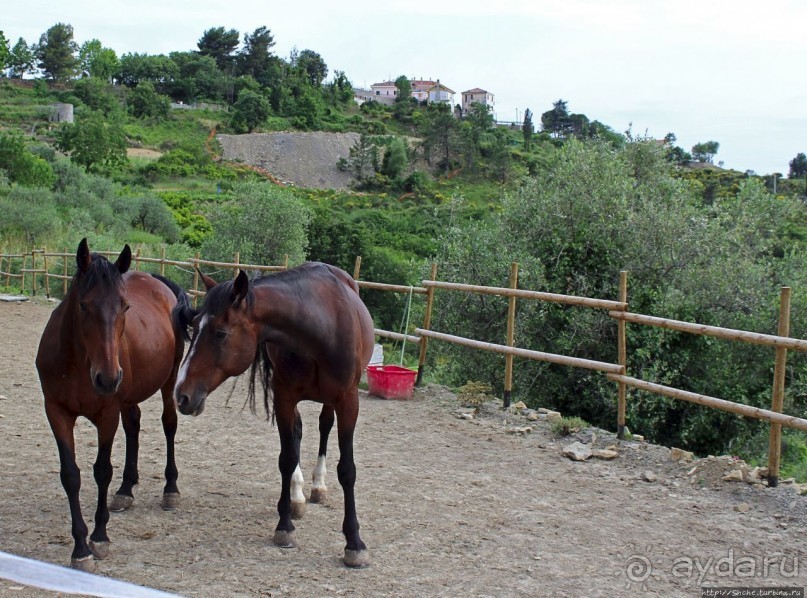 Agriturismo по-итальянски — фермерский дом близ Себорг