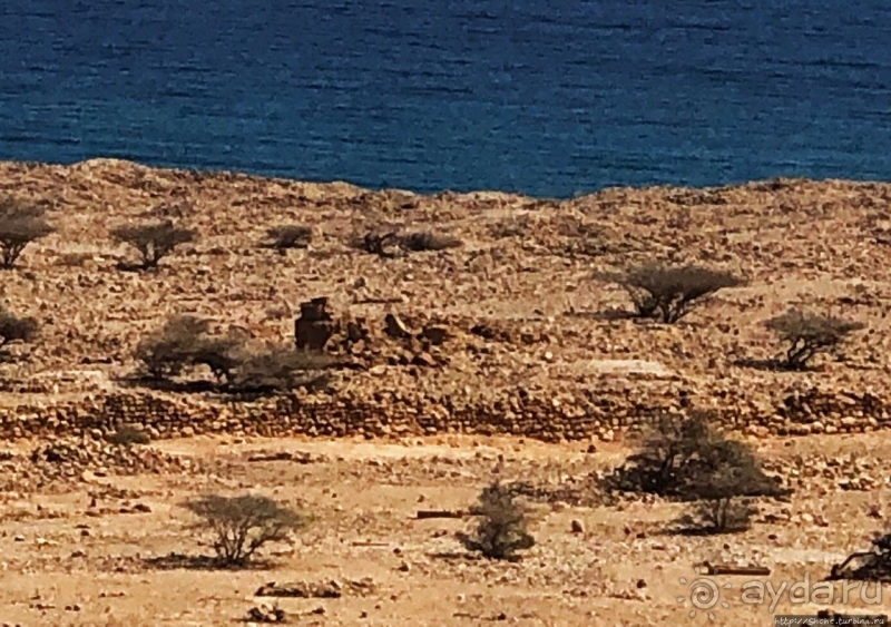 Древний Калхат (ЮНЕСКО 1537) -не ходите девки замуж за папаш