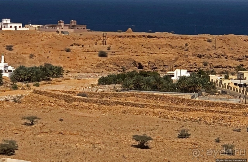 Древний Калхат (ЮНЕСКО 1537) -не ходите девки замуж за папаш