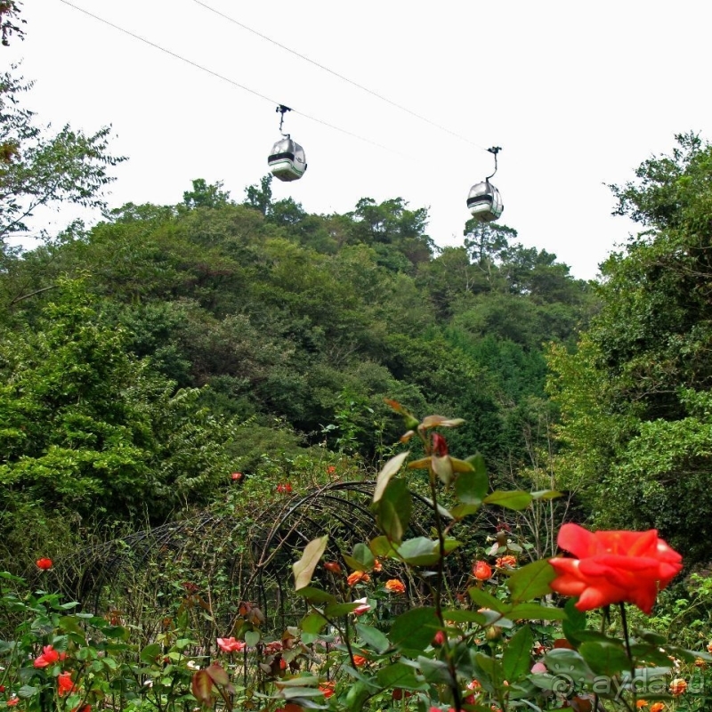 Взлетая ... на 880 метров (не ведая, естественно, преград)