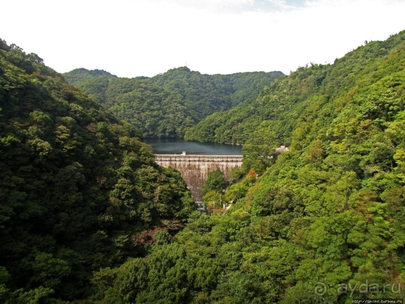 Взлетая ... на 880 метров (не ведая, естественно, преград)