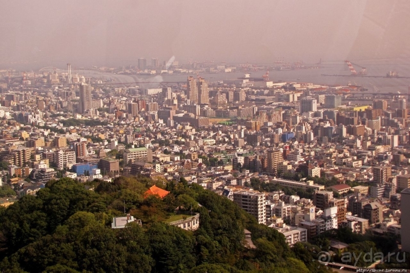 Взлетая ... на 880 метров (не ведая, естественно, преград)