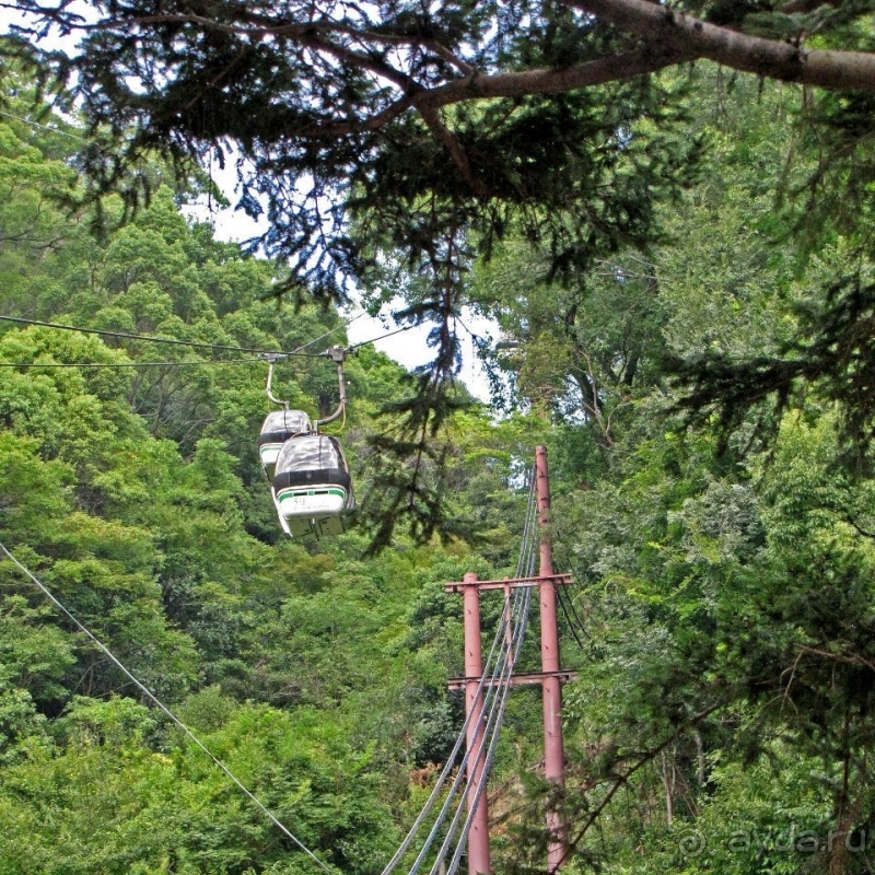 Взлетая ... на 880 метров (не ведая, естественно, преград)