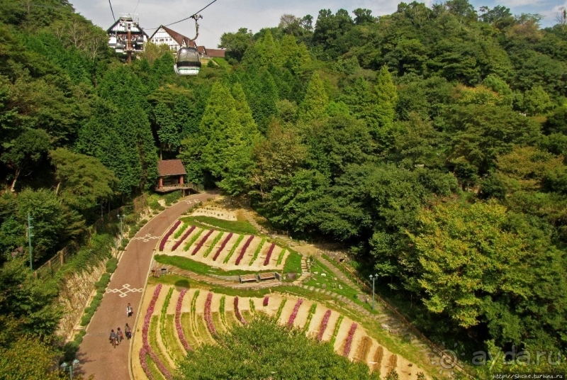 Взлетая ... на 880 метров (не ведая, естественно, преград)