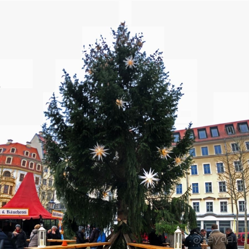 Рождественские метаморфозы. Новая площадь Дрездена