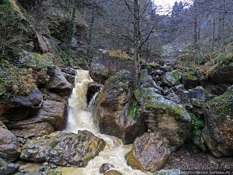 Альбом отзыва "Как, скажи, тебя зовут? И она ответила: как хочешь. Река"