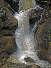 Альбом отзыва "Как, скажи, тебя зовут? И она ответила: как хочешь. Река"