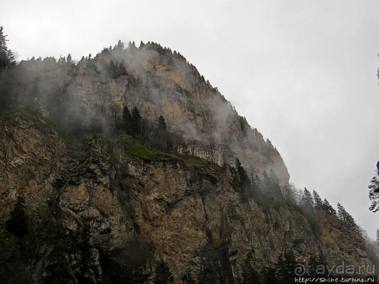 Альбом отзыва "Как, скажи, тебя зовут? И она ответила: как хочешь. Река"