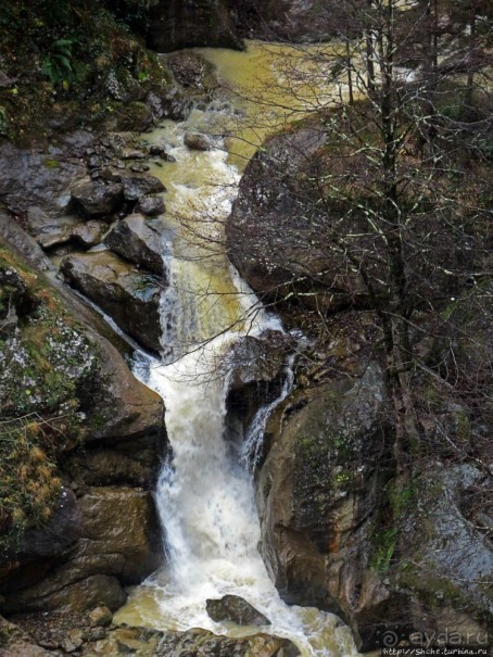 Альбом отзыва "Как, скажи, тебя зовут? И она ответила: как хочешь. Река"